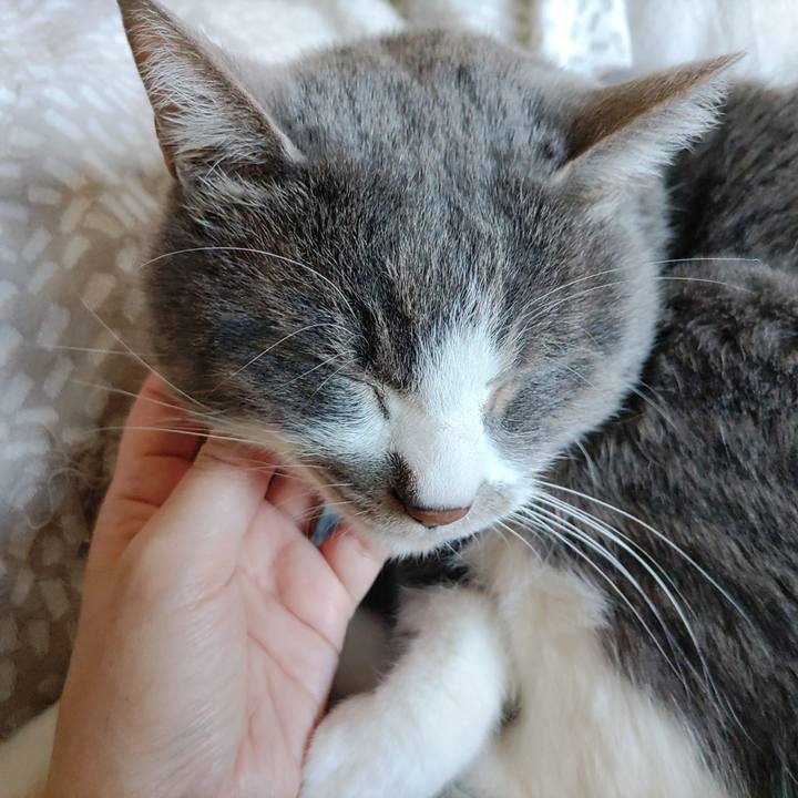 F5075b3e 14e7 4771 b62f e6f4b52109ea 1710558676930