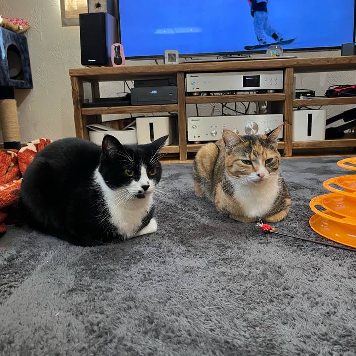 F5078aa5 3d07 4755 bf7c 3808548c4164 1644544987151