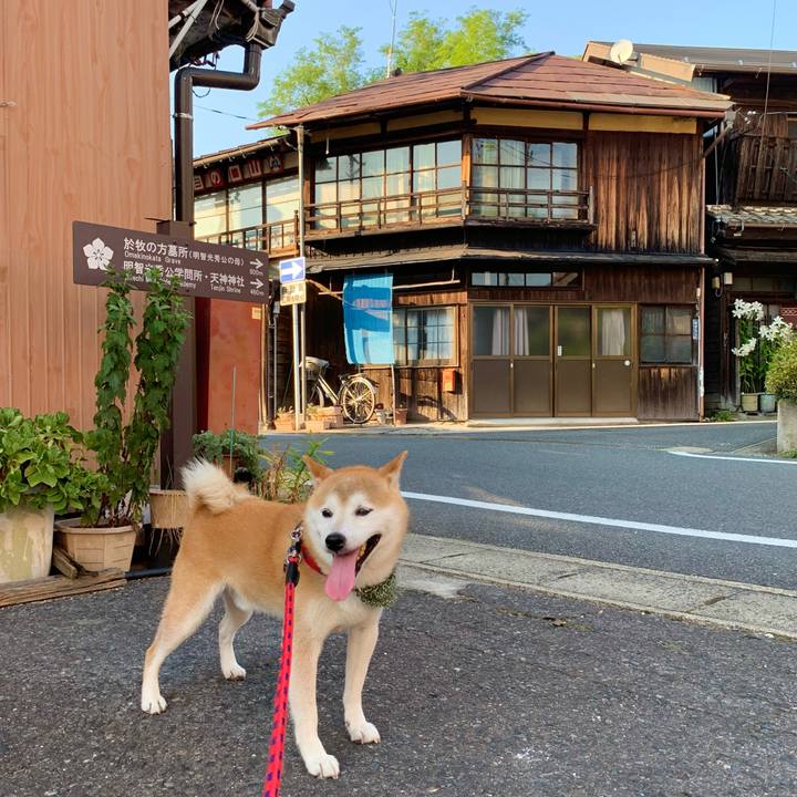 F5078df6 49a7 4ccb 81be aeb488781ded 1690281653637