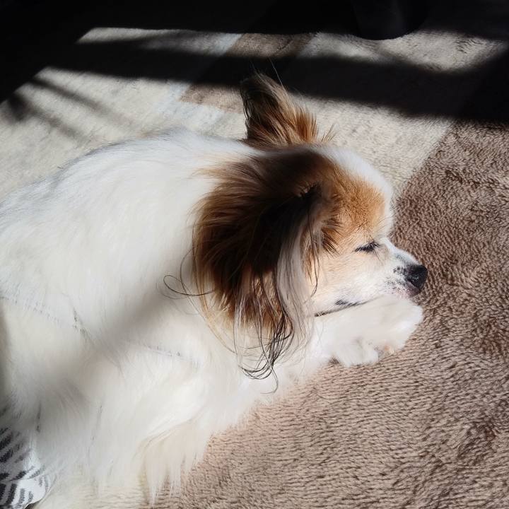 F5079818 a5f6 44d2 816f c7078c2d44c4 1575335921767