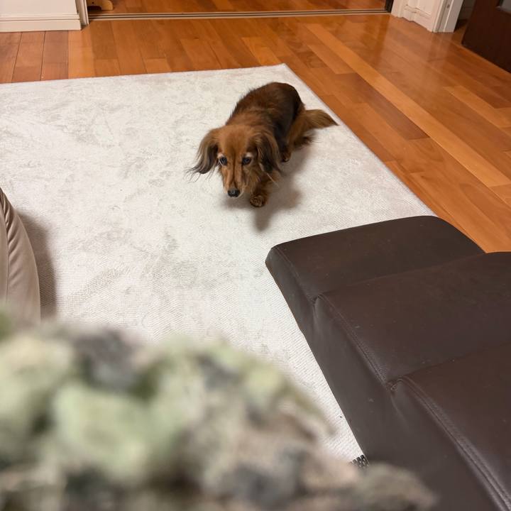 F5079d31 d230 49bb 8544 4d6c340f1af1 1774530121053