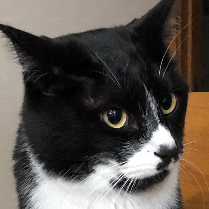 F507c8c1 3927 4eef 999e 03005fb54c26 1649476879634