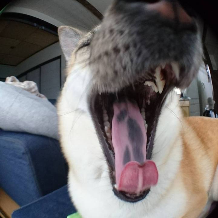 F507f17d 9445 43bd 9ccf f3f1449c2f44 1524971424578