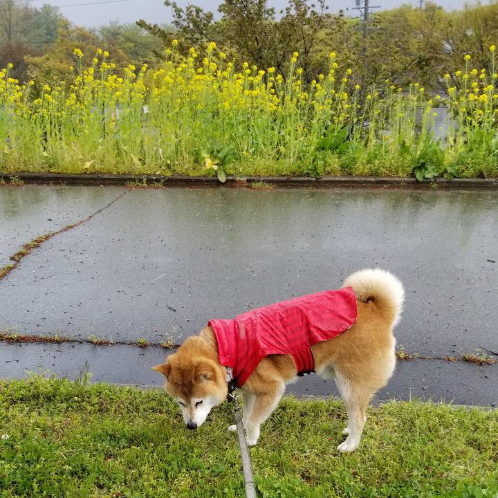 F507f3d9 92e8 4b51 b602 acf7d2386ba0 1619938730835