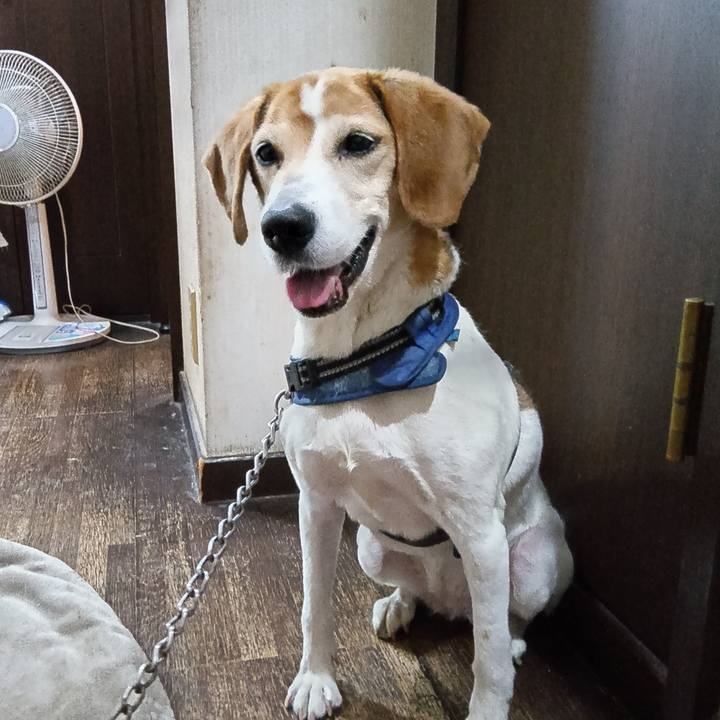 F5081067 829b 4c3b ab7c 670d2120f300 1748671238674