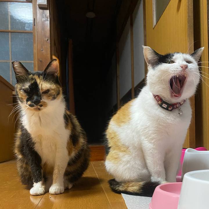 F5082a09 5ce3 4b0f a8d4 7912f40d328f 1654031784621