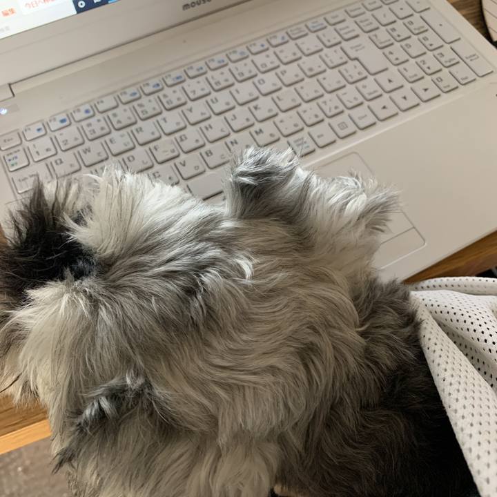 F5085960 0da4 464c ba89 ae19f8bd19e6 1596169950532