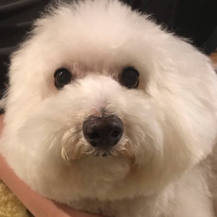 F5086a71 83a9 4ba5 bc1f 9c1b1f42fa41 1600513219794