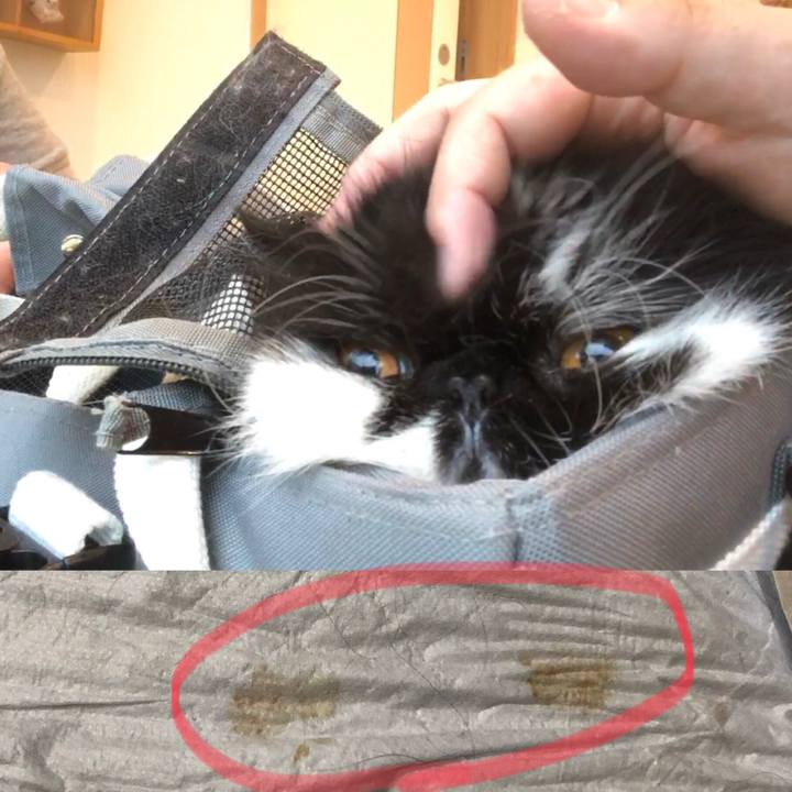 F5086c58 ceeb 4521 9879 d1e74dc3cda1 1570879770963