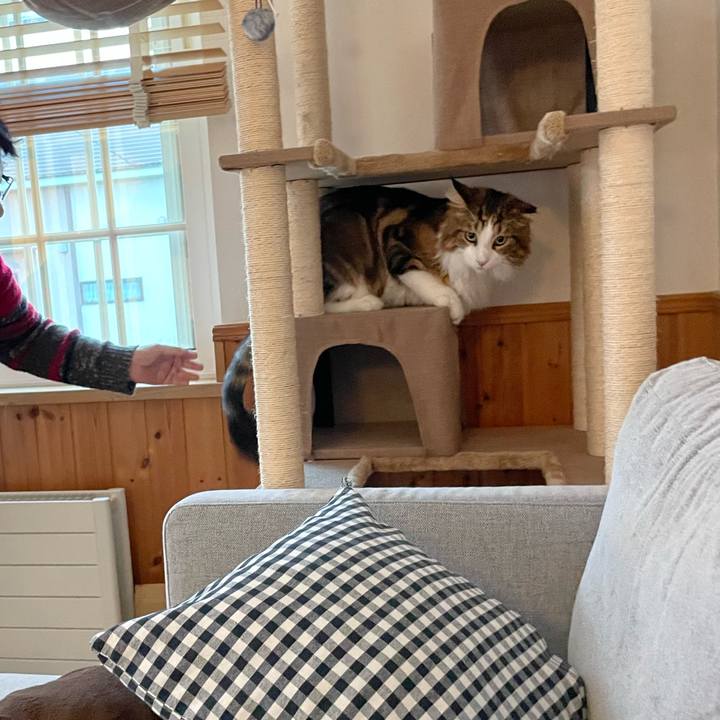 F508781a 3fef 423c be6d 1572c9be9be6 1663709697064