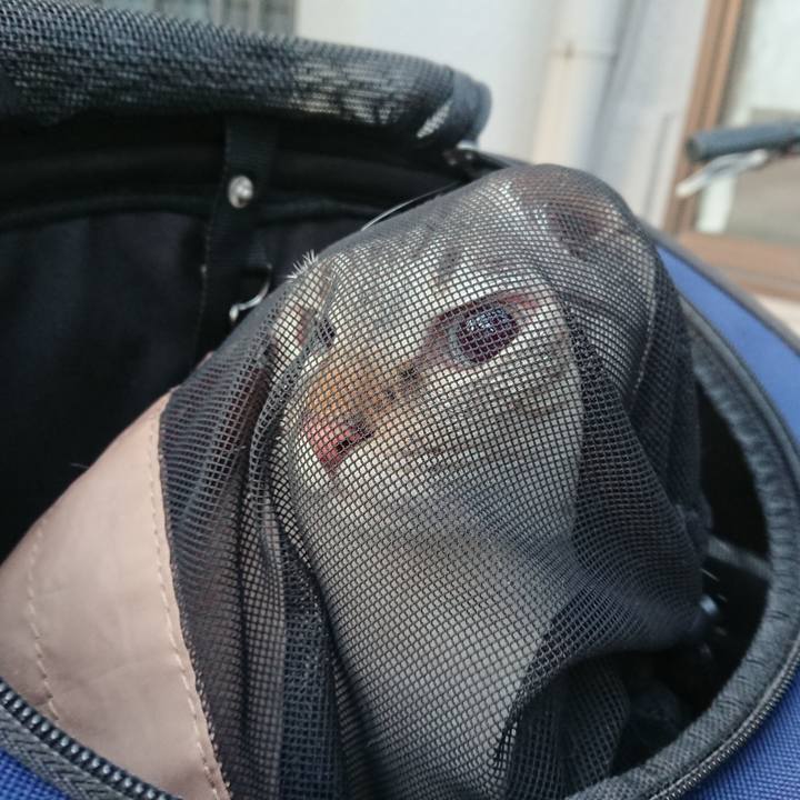 F5089bc2 5bd0 405e be76 1b743989fe6d 1596274280951