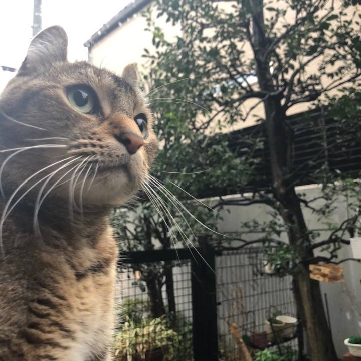 F508ab1b e125 493d 84a4 050fac9f6280 1611813089223