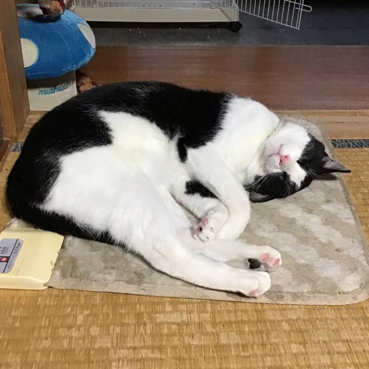 F508d45b 4f84 4592 aeed be664a86498b 1654508307090