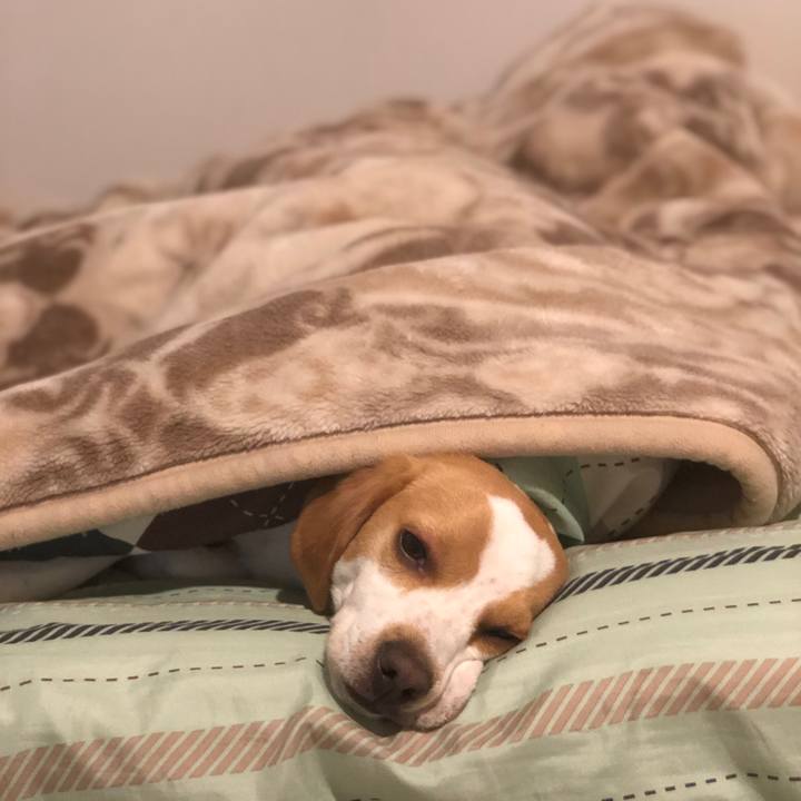 F508f9e7 12af 4613 a6f0 859d9a7845d2 1555595954230