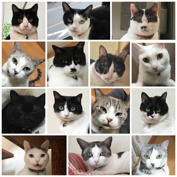 F50905da 92b5 4dca a4e0 ad299227b75a 1514568109641