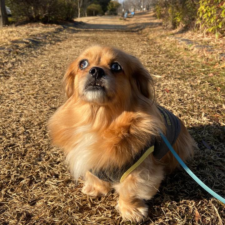 F50922c7 af6a 49b7 95c8 1a8dae51814e 1645575327924