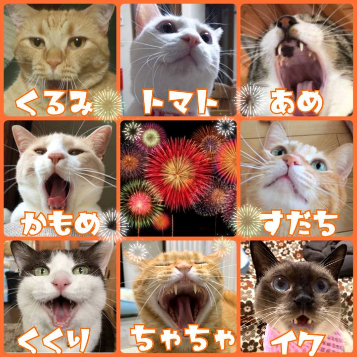 F5092d68 df6f 499d 9056 21eda9b40afd 1564562207146