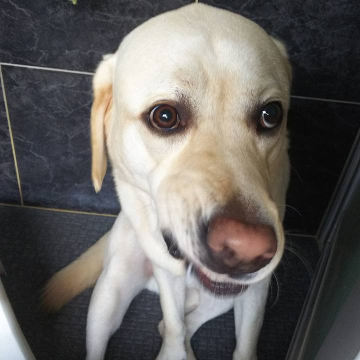 F50931f7 3215 40e7 adf1 f95204dea587 1570432059705