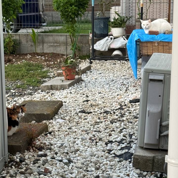 F509372f c233 4963 8df3 fb82a330ecbf 1758853736629