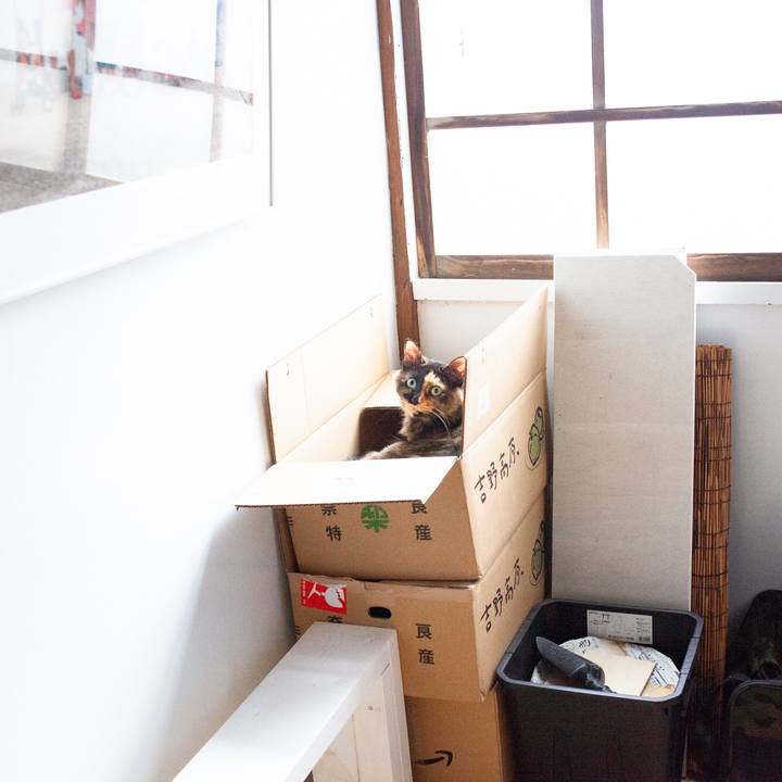 F50938d9 9671 4ffb 8de3 9ccaf75a4203 1575090578756