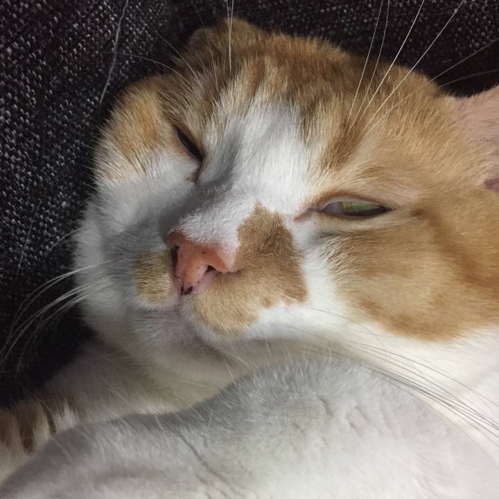 F5098a72 0e2e 47c0 a2a4 8634ed612862 1508248629458