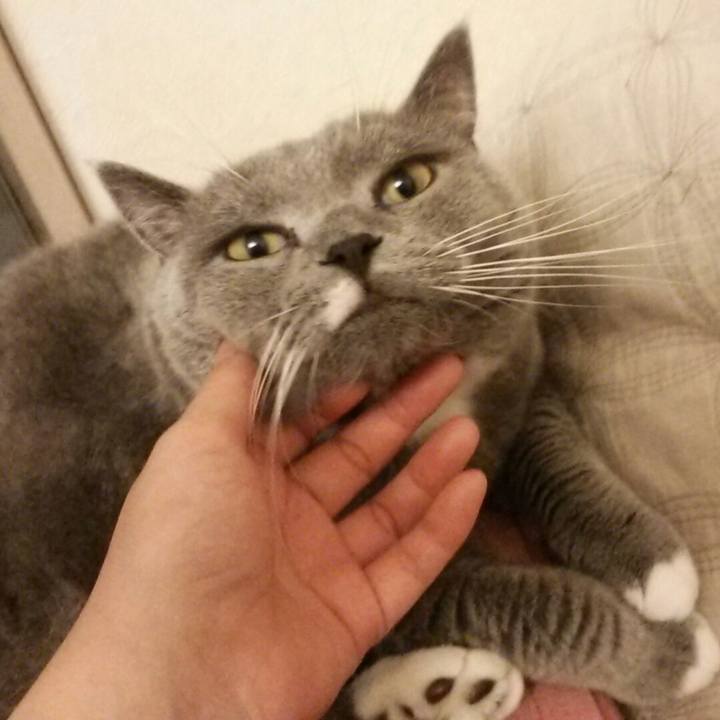 F50993d7 62ee 4c78 8602 0d6f6e2117d7 1572853015595