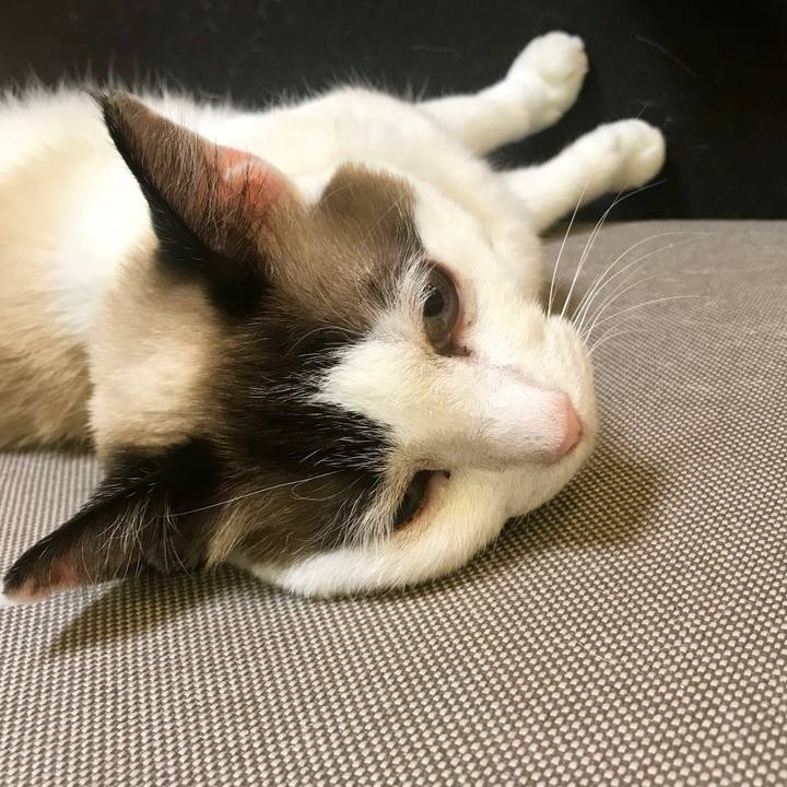 F5099f18 56d8 41ba bc7f 1b4efadb3400 1557628963802