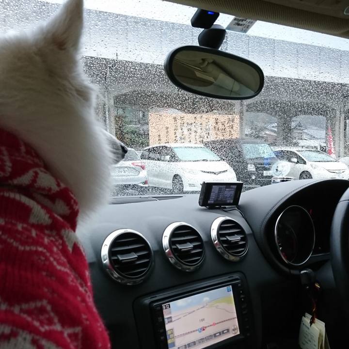 F509c428 9c77 41f0 90a2 316cc7e7681f 1541312103019