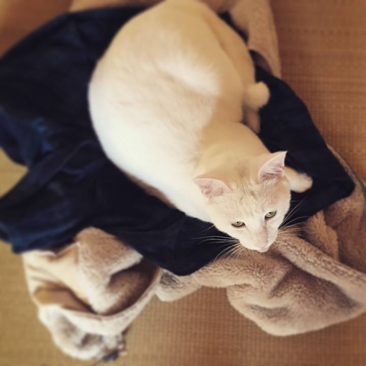 F509ce2f 5fab 493f 8395 659027b9c2c1 1509059644959