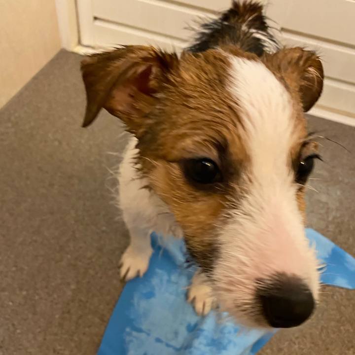 F509d996 c1a0 487c b7f5 b204c74113cc 1615639053235