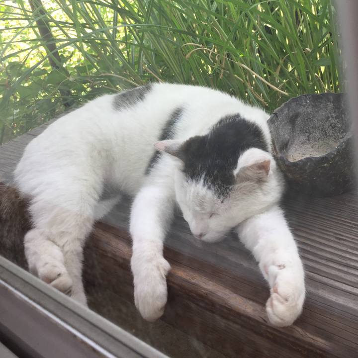 F50a1e57 4f61 463e 9cc6 d0a31fd8f05e 1656064235878