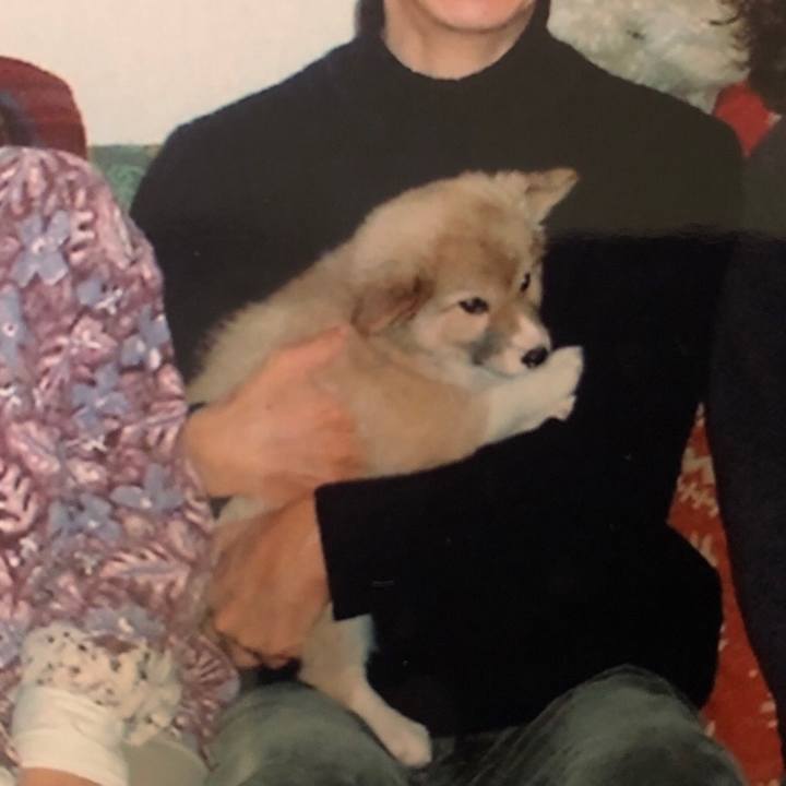 F50a3df8 9091 4522 a66b 8aefc3f8a101 1532224572007