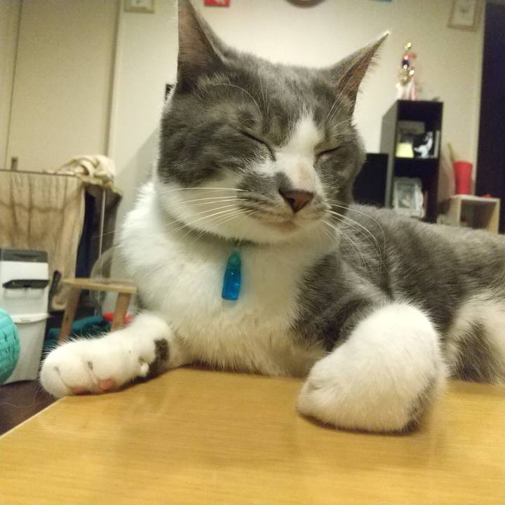 F50a5da9 542a 4ab7 922a 822a27b29507 1614859125452