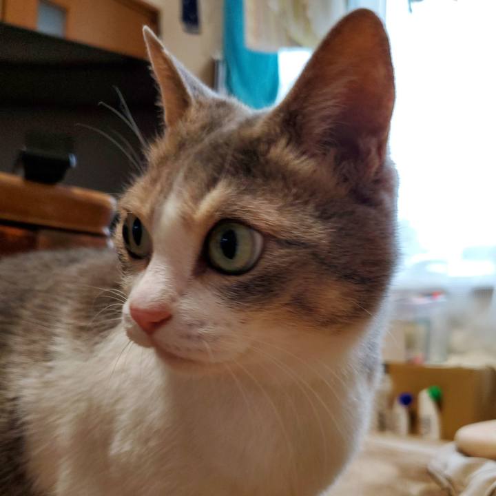 F50ac59e c9e7 491b 865c 80175f81da11 1716513886067