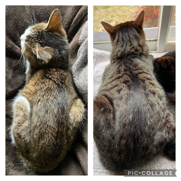 F50b21b5 5870 4797 802b 8bf4c0bed8f7 1649074443574