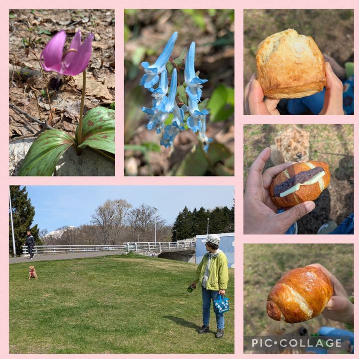 F50b7bf4 3a3f 4f18 8d67 e1da522d0f78 1745828155870