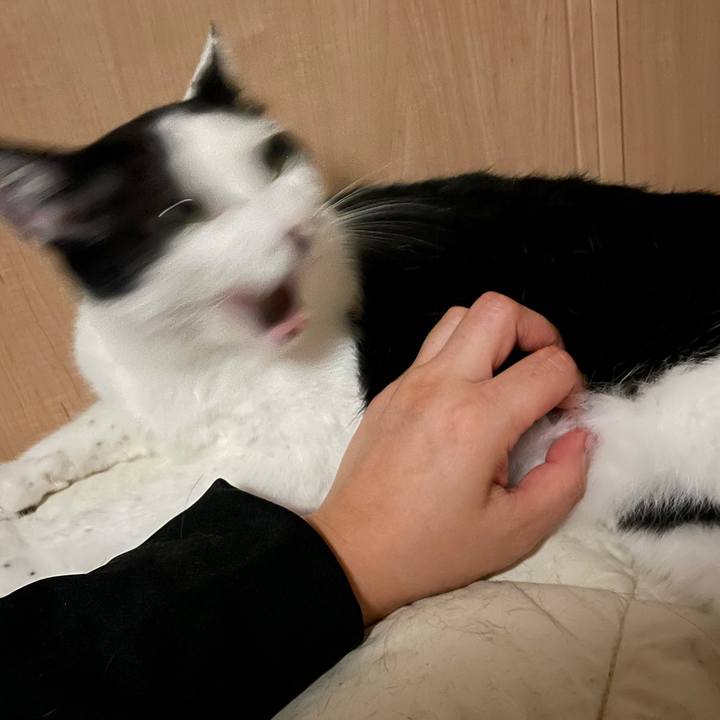 F50b8955 25d6 48e9 834b d674ba0adf27 1625747602625