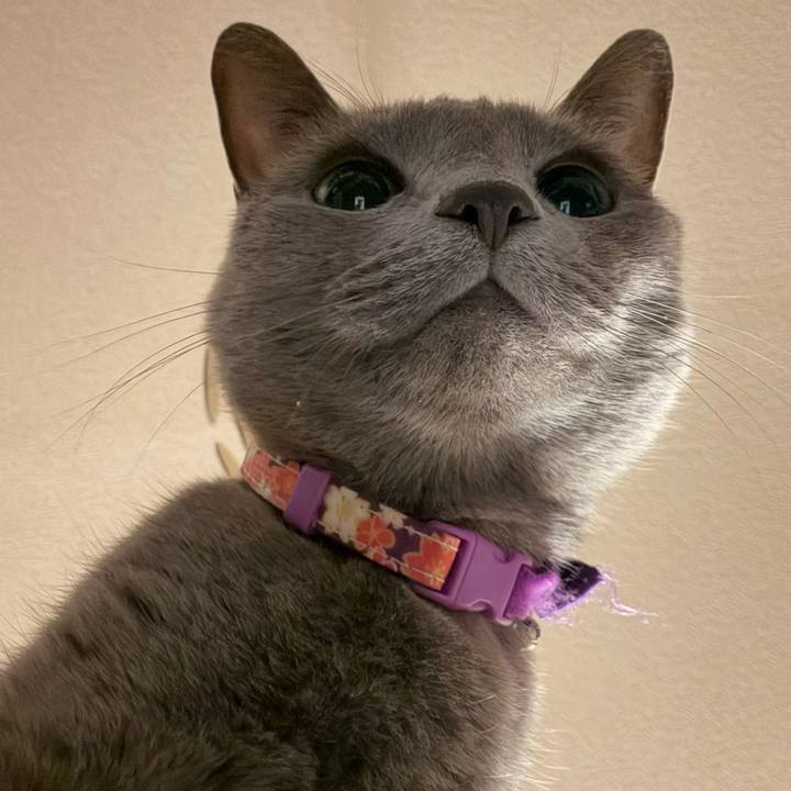 F50bba0a d012 4ae3 ba1c ff8e254e74e3 1760275612122