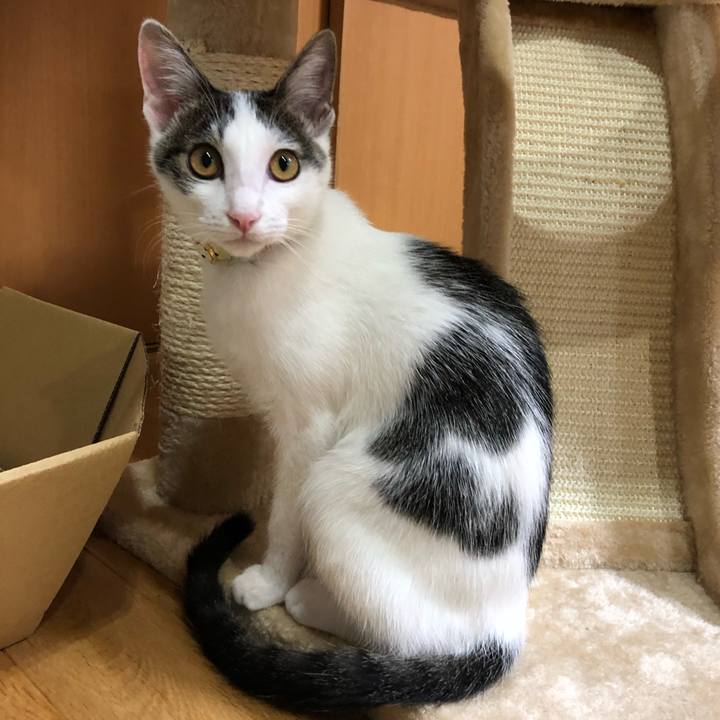 F50bbb34 ccea 413d af30 310ea629794b 1571228159558