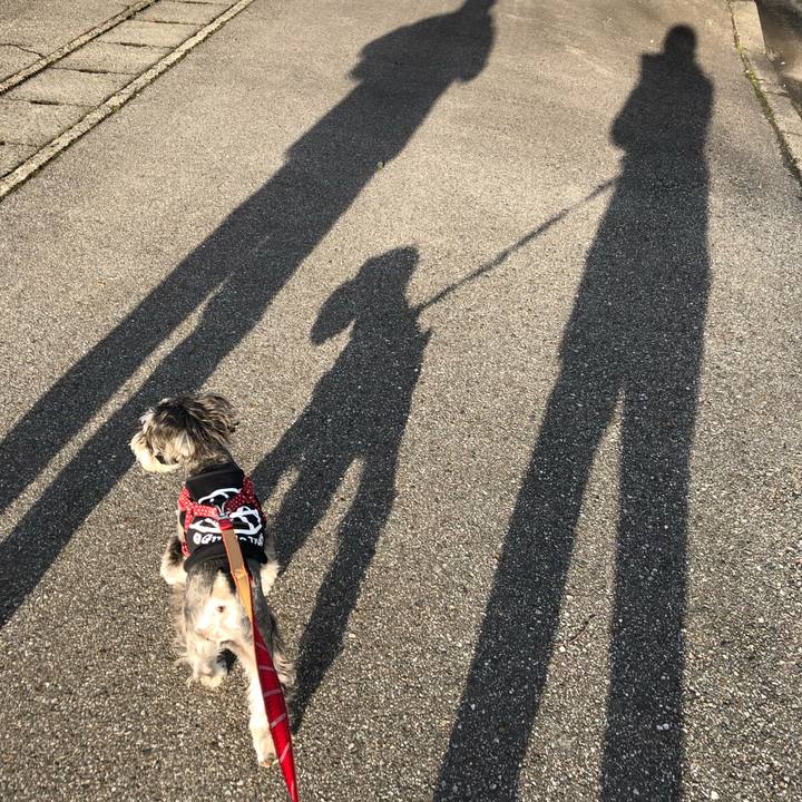 F50be881 fdc5 40cc ac86 ab07915a4b36 1547372694471