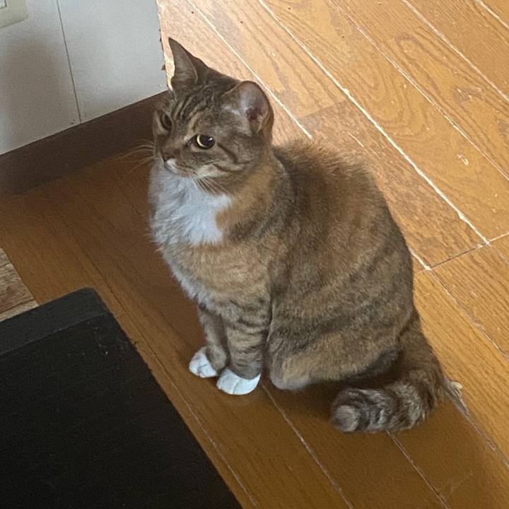 F50bf192 564a 4665 b18b 395ed1be45a3 1588381596342