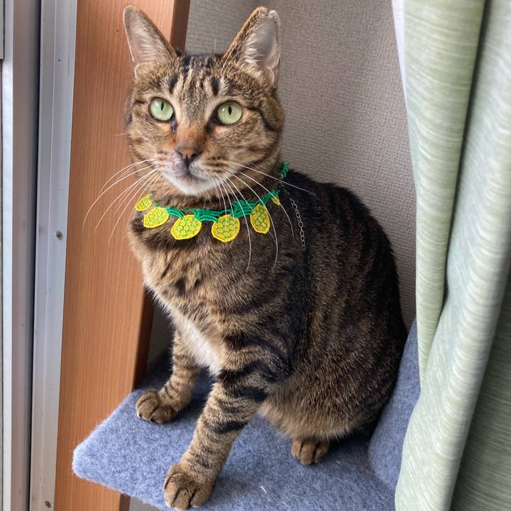 F50c269e 4f30 4477 97b9 886065e81196 1651625684051