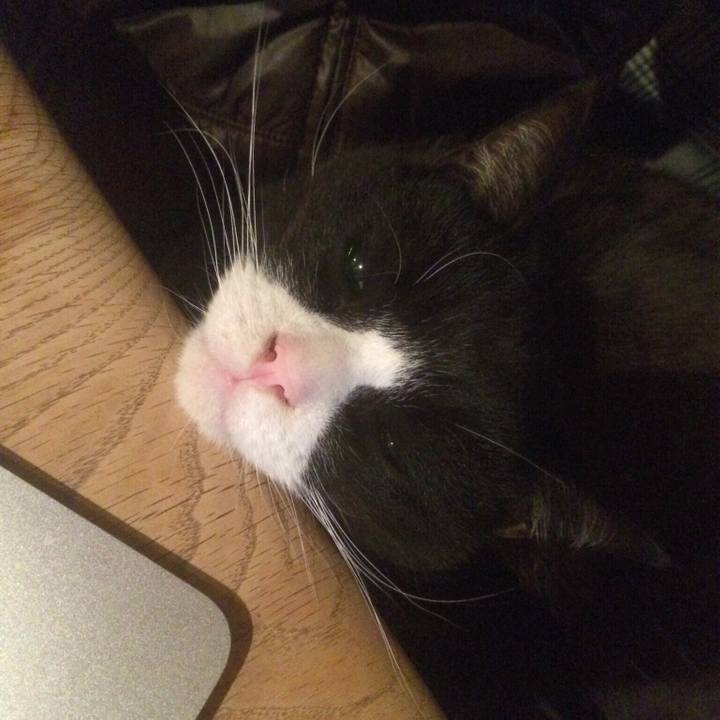 F50c2e96 7619 4f8a 9eb4 d774f0e14ec5 1516882861469