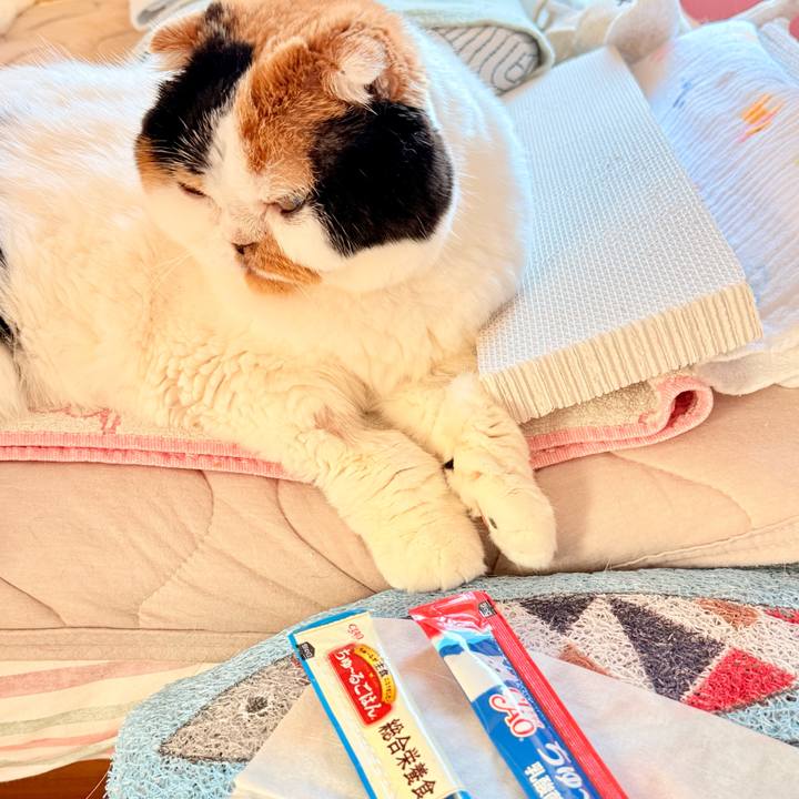 F50c4df2 3384 40af 930c cd6a4a9eac3b 1762952808967