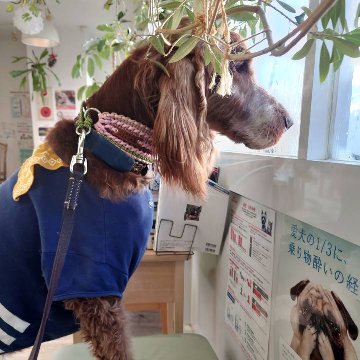 F50c8faf d261 4274 a7ed 5003cab5b72f 1705145186542