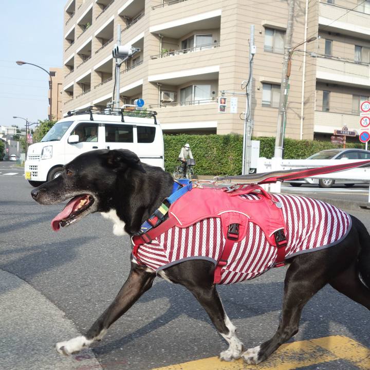 F50cac52 0151 44f0 a1b2 eb7bbbb51e0c 1689721787350