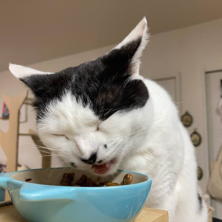 F50cafa4 5172 40ac a928 4be220266bbe 1774644560168