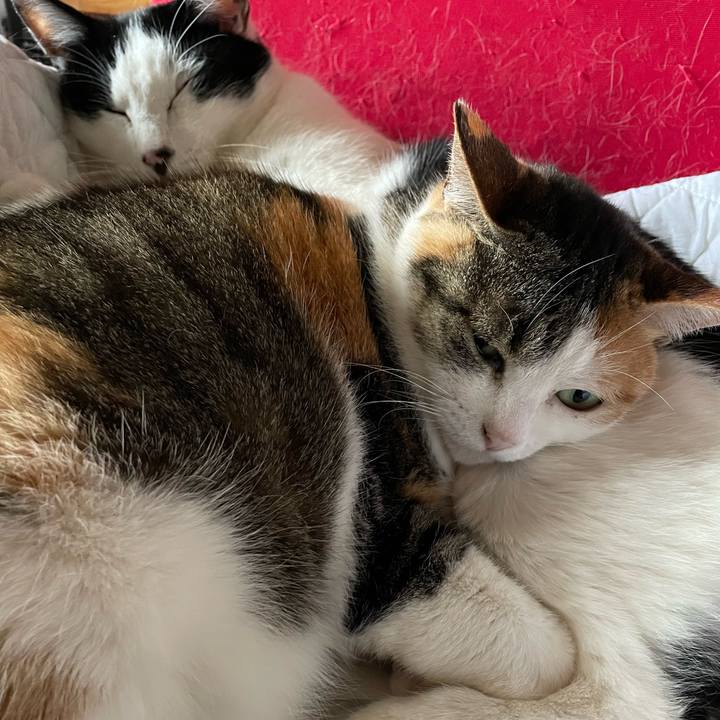 F50ceb36 ae1c 4653 9eee 466103f29537 1648596139494