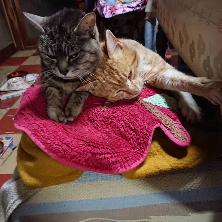 F50ceed0 3e80 455e 863e 62c8b985235d 1555927176993