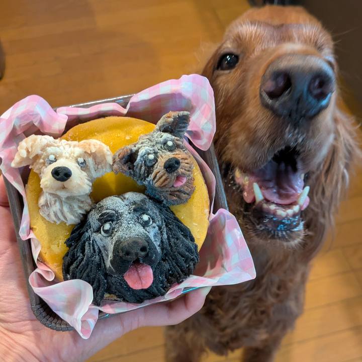 F50d3cf4 54da 459d b2d9 8b9da975c08c 1756041112837